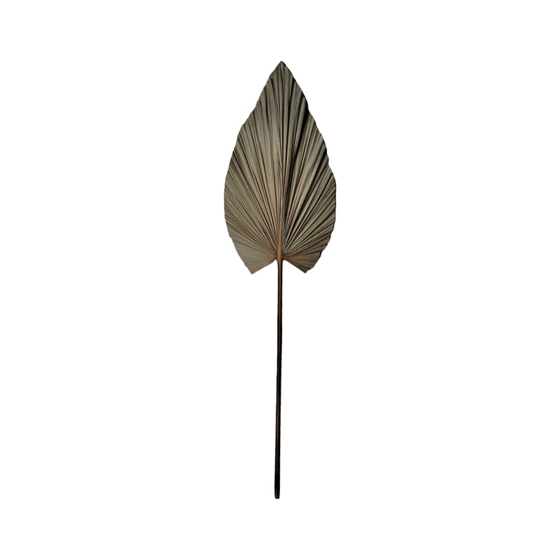 335-000015 Διακοσμητικό φύλλο Leafen I φυσικό palm leaf 130εκ