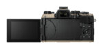 Shoulder Strap